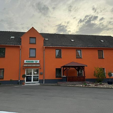 Pension Sachseneck Heidenau  Exterior photo